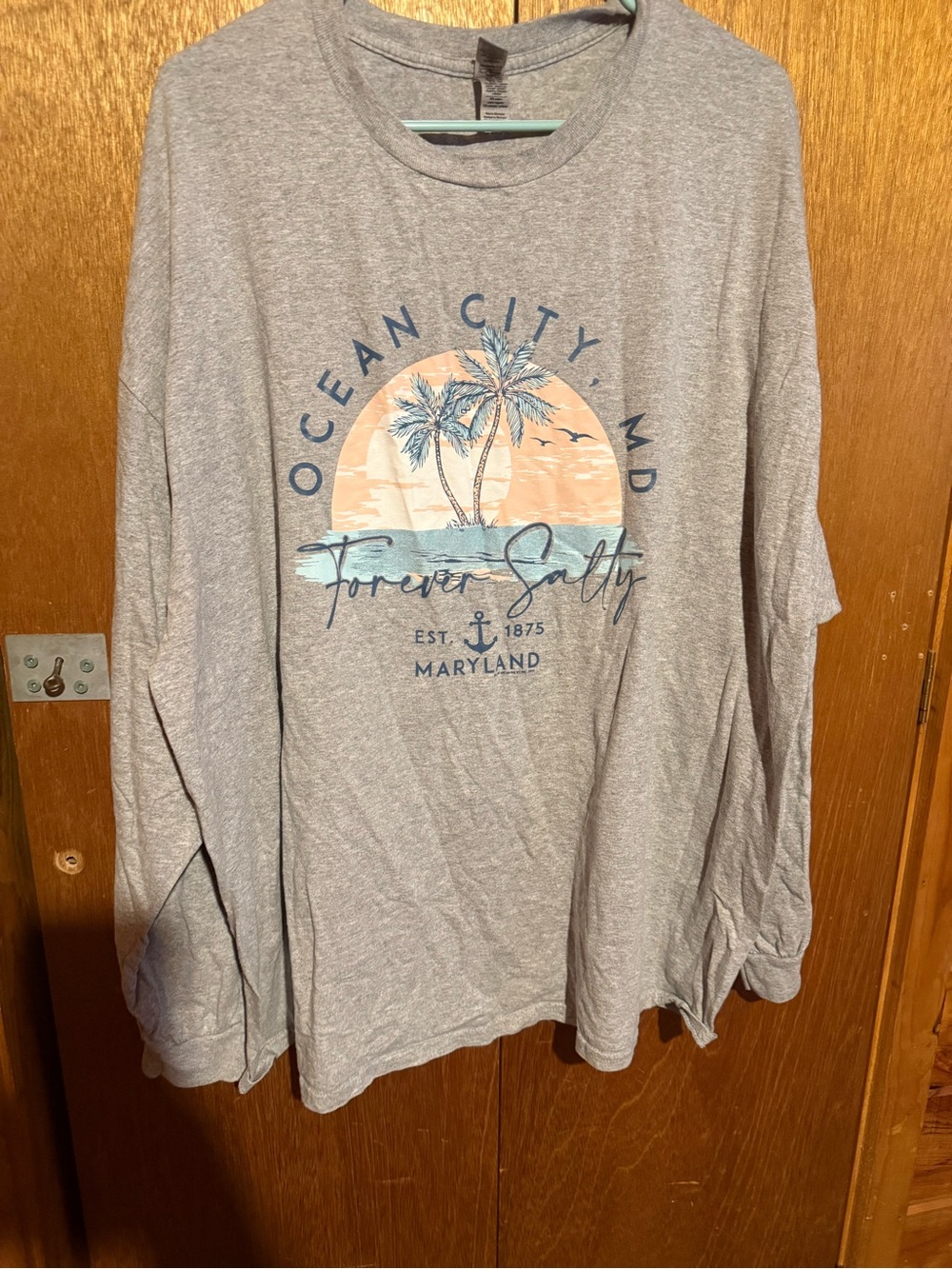 Gildan Gray Long Sleeve Tee with Ocean City MD Sunset Graphic